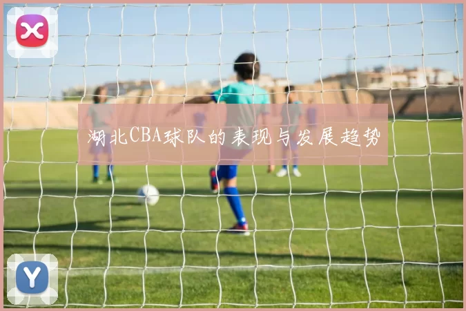 湖北CBA球队的表现与发展趋势