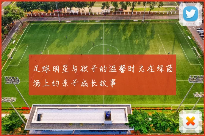 足球明星与孩子的温馨时光在绿茵场上的亲子成长故事