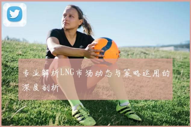 专业解析LNG市场动态与策略运用的深度剖析