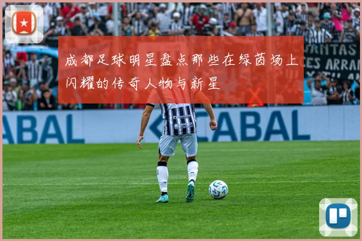 成都足球明星盘点那些在绿茵场上闪耀的传奇人物与新星