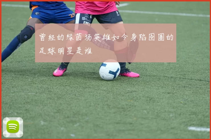 曾经的绿茵场英雄如今身陷囹圄的足球明星是谁