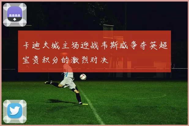 卡迪夫城主场迎战韦斯咸争夺英超宝贵积分的激烈对决