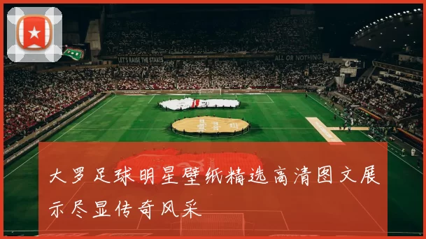 大罗足球明星壁纸精选高清图文展示尽显传奇风采