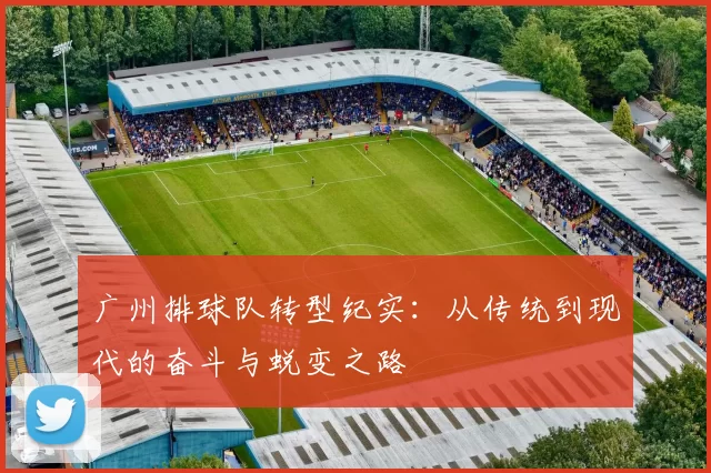广州排球队转型纪实：从传统到现代的奋斗与蜕变之路