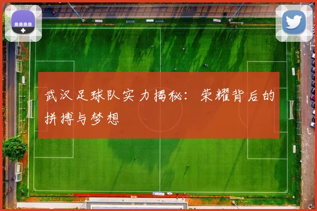武汉足球队实力揭秘：荣耀背后的拼搏与梦想