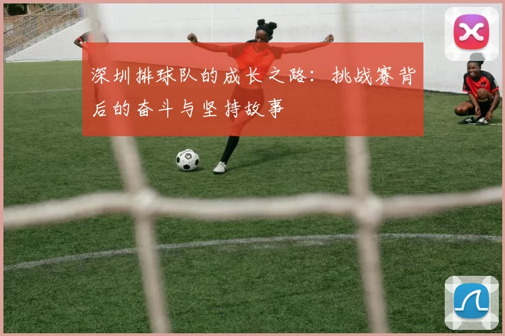 深圳排球队的成长之路：挑战赛背后的奋斗与坚持故事