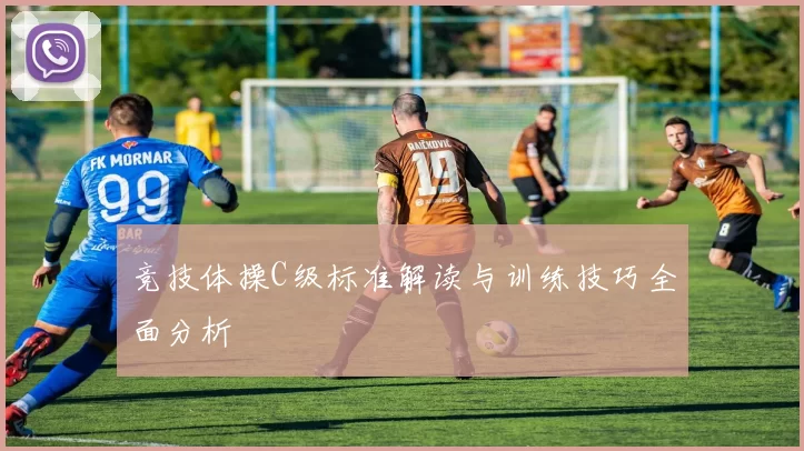 竞技体操C级标准解读与训练技巧全面分析