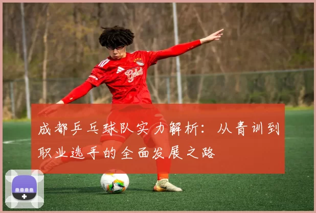 成都乒乓球队实力解析：从青训到职业选手的全面发展之路