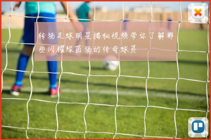 转场足球明星揭秘视频带你了解那些闪耀绿茵场的传奇球员