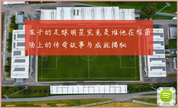 混子的足球明星究竟是谁他在绿茵场上的传奇故事与成就揭秘