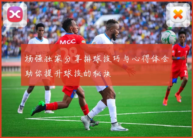 杨强独家分享排球技巧与心得体会助你提升球技的秘诀