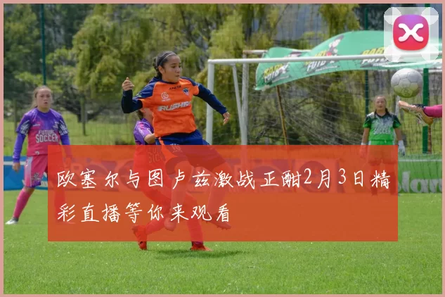 欧塞尔与图卢兹激战正酣2月3日精彩直播等你来观看