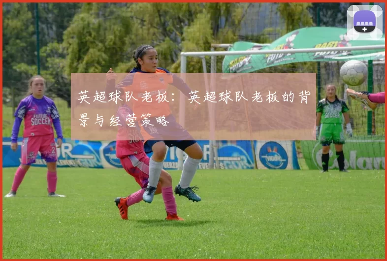 英超球队老板：英超球队老板的背景与经营策略