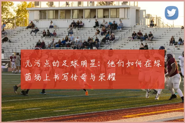 无污点的足球明星：他们如何在绿茵场上书写传奇与荣耀