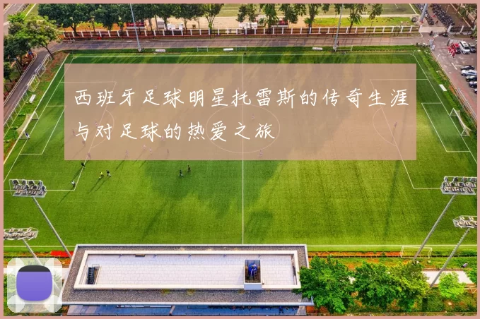 西班牙足球明星托雷斯的传奇生涯与对足球的热爱之旅