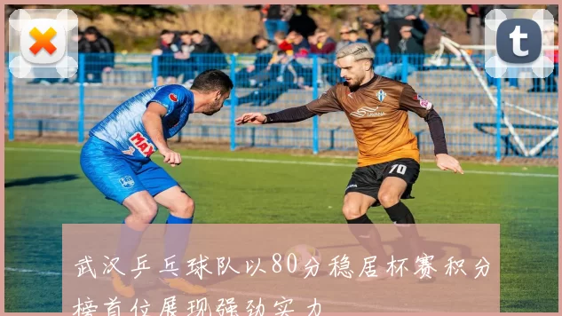武汉乒乓球队以80分稳居杯赛积分榜首位展现强劲实力
