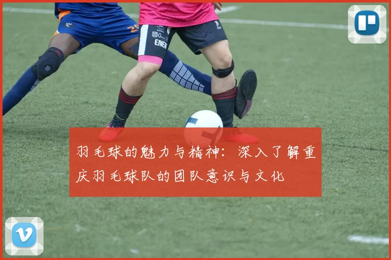 羽毛球的魅力与精神：深入了解重庆羽毛球队的团队意识与文化