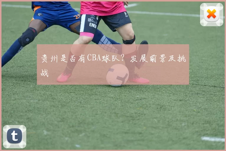 贵州是否有CBA球队？发展前景及挑战