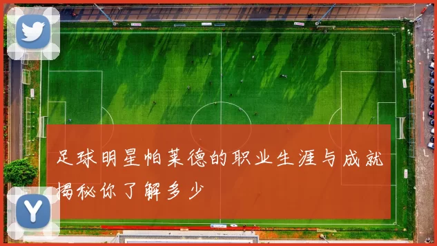 足球明星帕莱德的职业生涯与成就揭秘你了解多少
