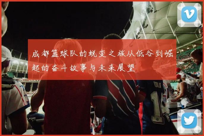 成都篮球队的蜕变之旅从低谷到崛起的奋斗故事与未来展望