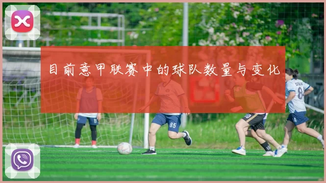 目前意甲联赛中的球队数量与变化