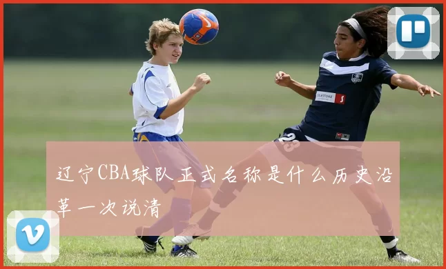 辽宁CBA球队正式名称是什么历史沿革一次说清