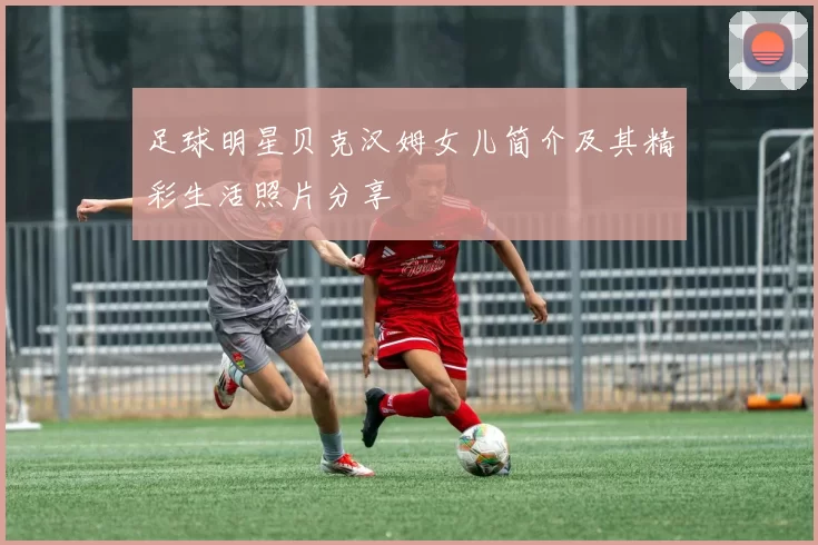 足球明星贝克汉姆女儿简介及其精彩生活照片分享