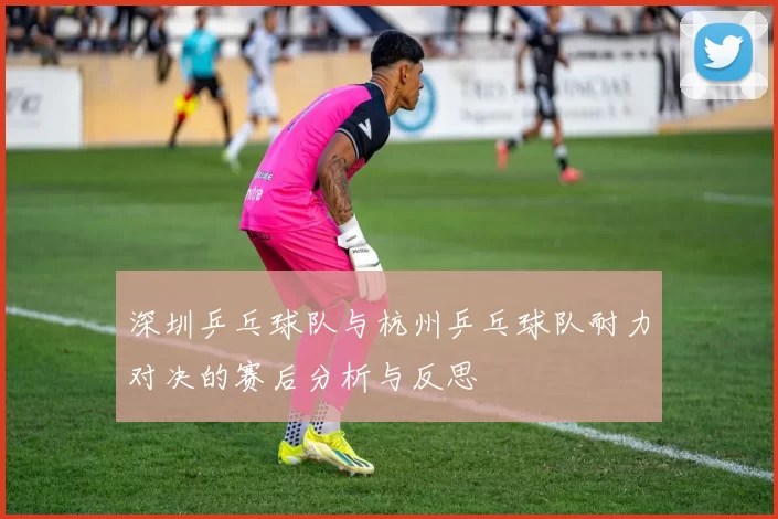 深圳乒乓球队与杭州乒乓球队耐力对决的赛后分析与反思