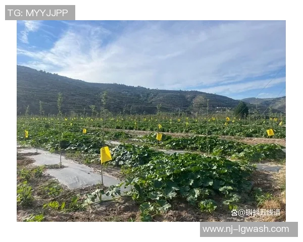 果园生态种植与可持续发展探索：从土壤管理到果品品质提升的综合路径